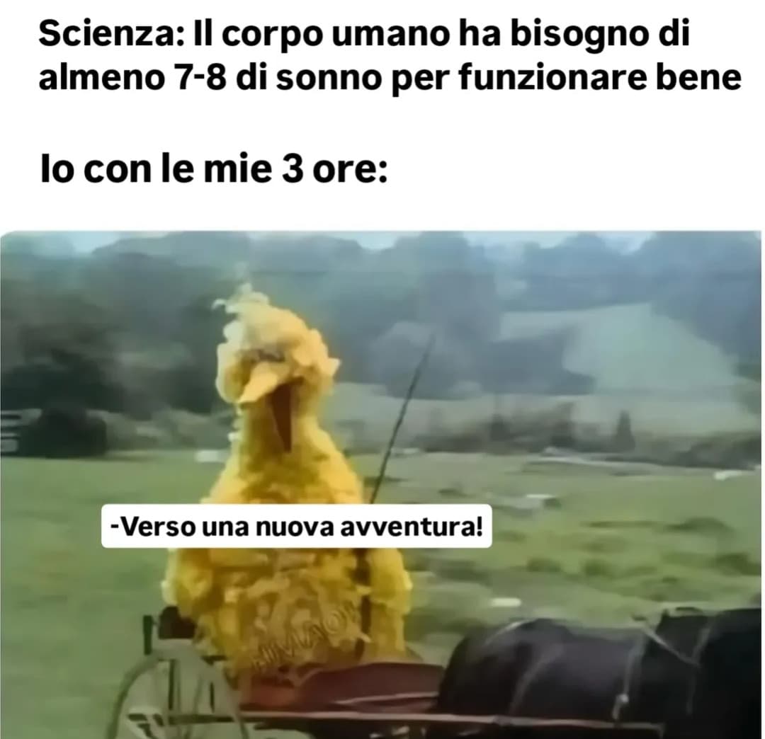 'sisi ma oggi vado a letto presto'