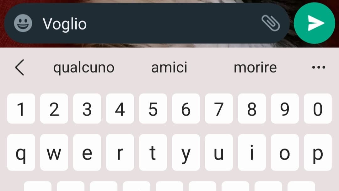 Nessuno mi capirà mai quanto il suggeritore whatsapp🗿