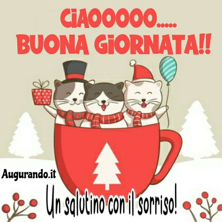 Buongiornoo