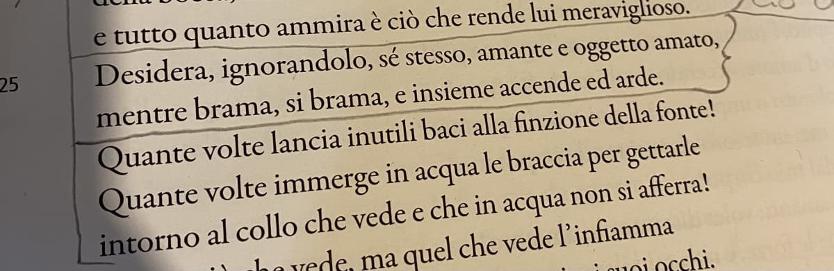 non riesco a fare la parafrasi di questi ultimi due versi, non riesco proprio a capirli. mi aiutate per favore?