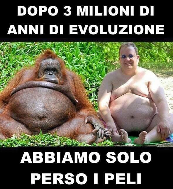 Evoluzione 