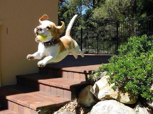 I Believe I Can Fly