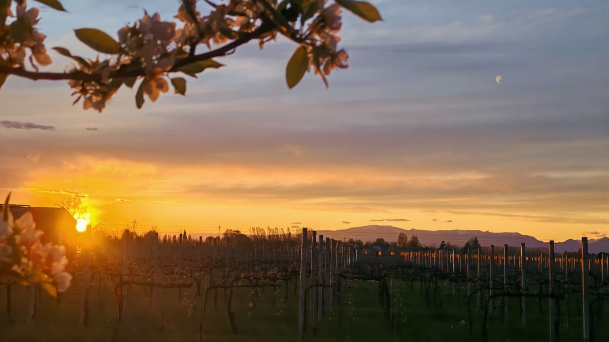 Il tramonto di oggi,da mozzare il fiato!
