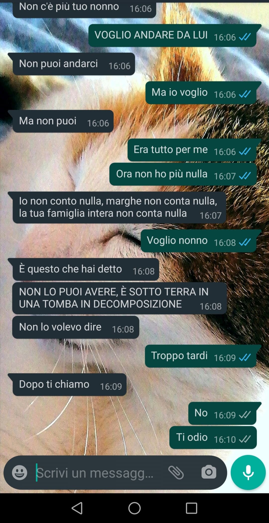 Ps Marghe è mia sorella 