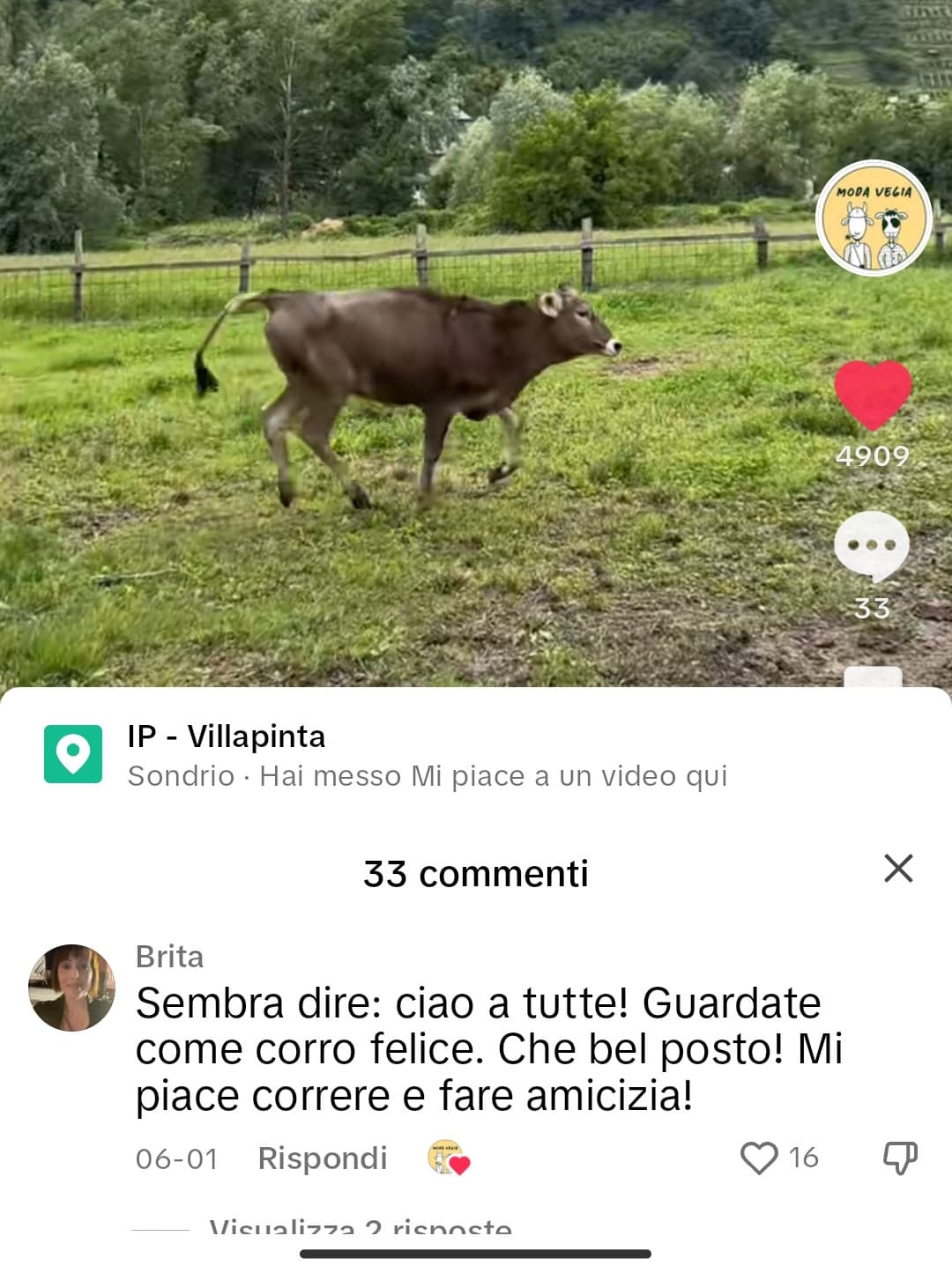 a me non pare dica così poi bo