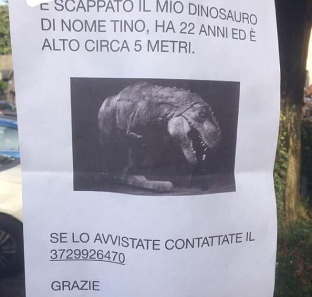 Cerchiamo Tino?