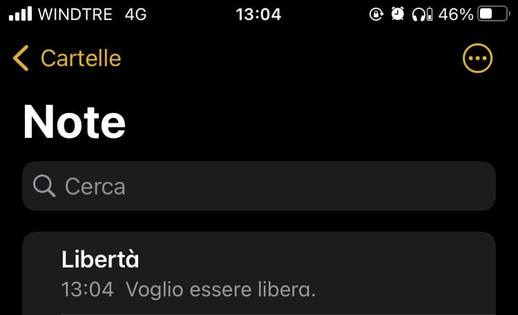 voglio… posso, son due condizioni diverse. 