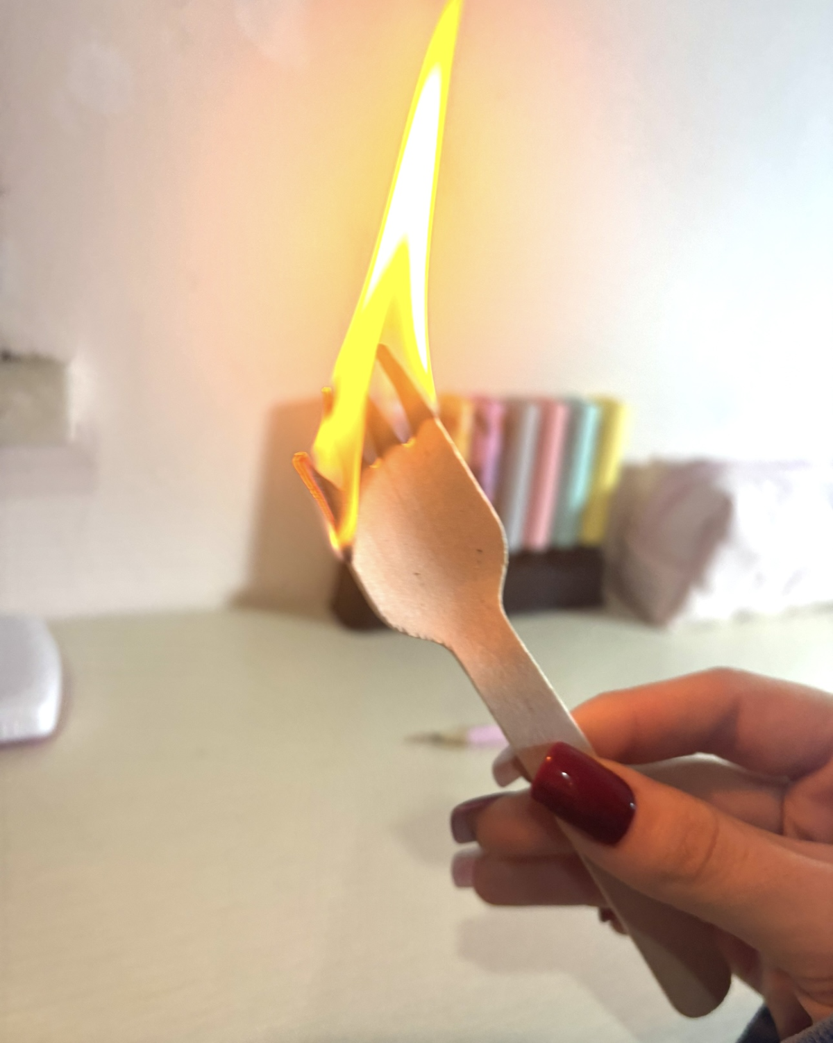 Il divertimento della domenica 