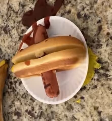 Mi chiedevo se vi capita mai di mettere un hotdog sull'asse Y