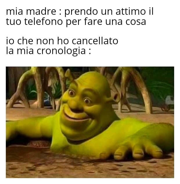 Per chi non l'avesse notato, si, sono una simp per shrek 