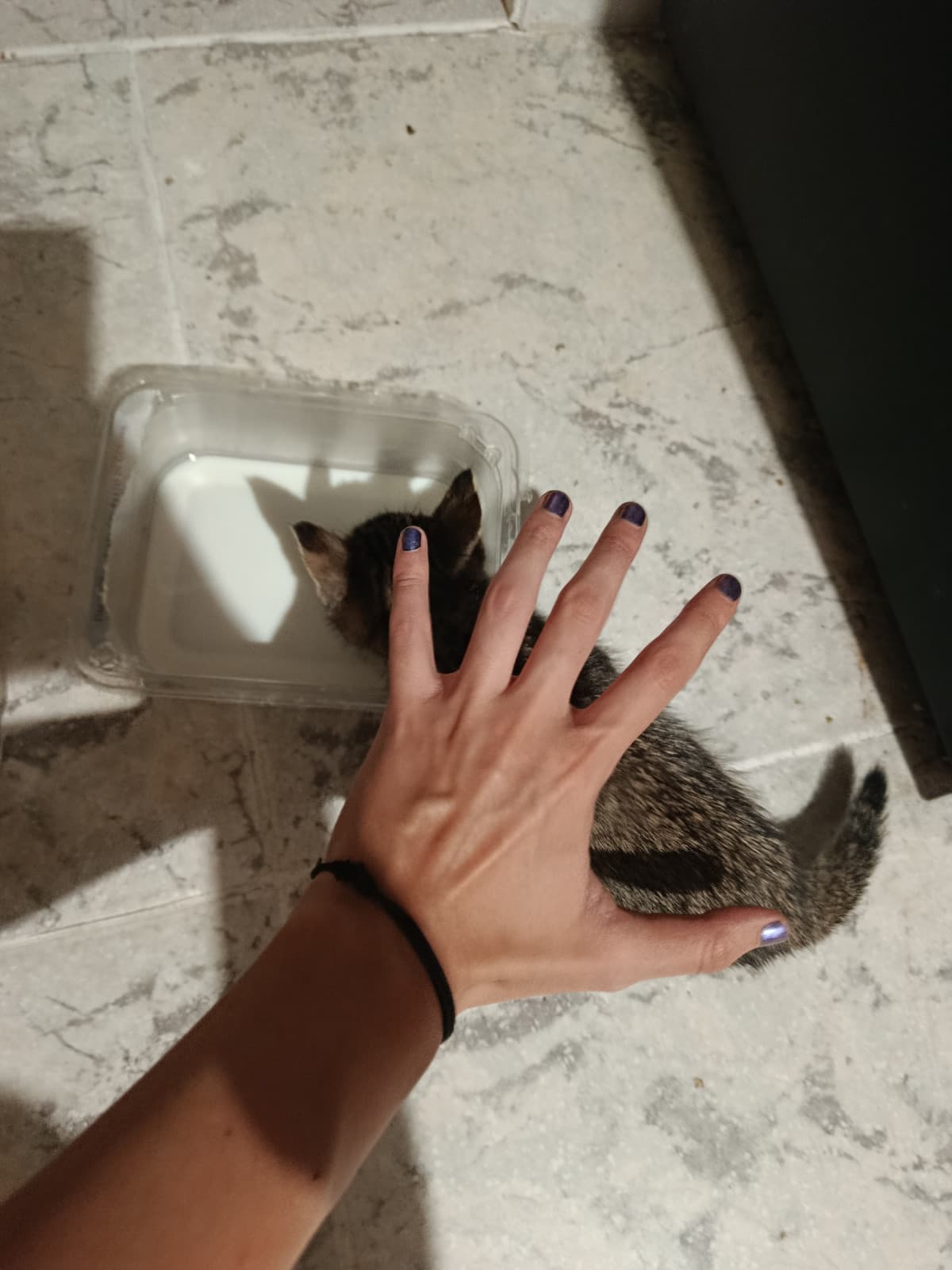 GUARDATE QUANTO È PICCOLO