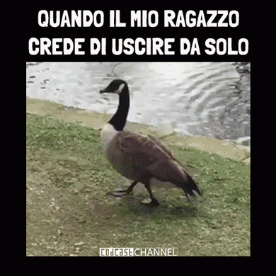 Credi di essere solo eh?