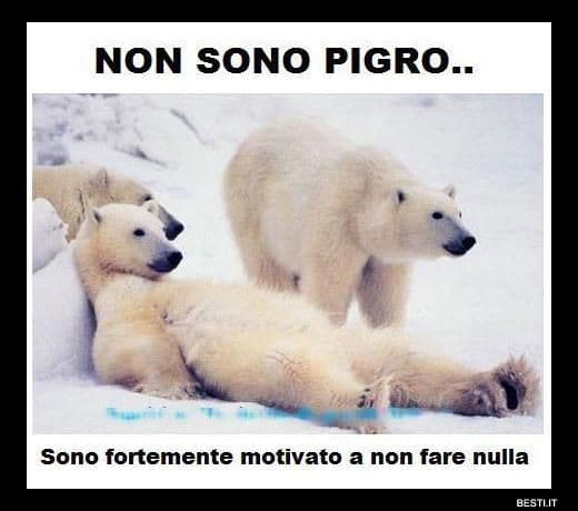 Ahahaha stima totale