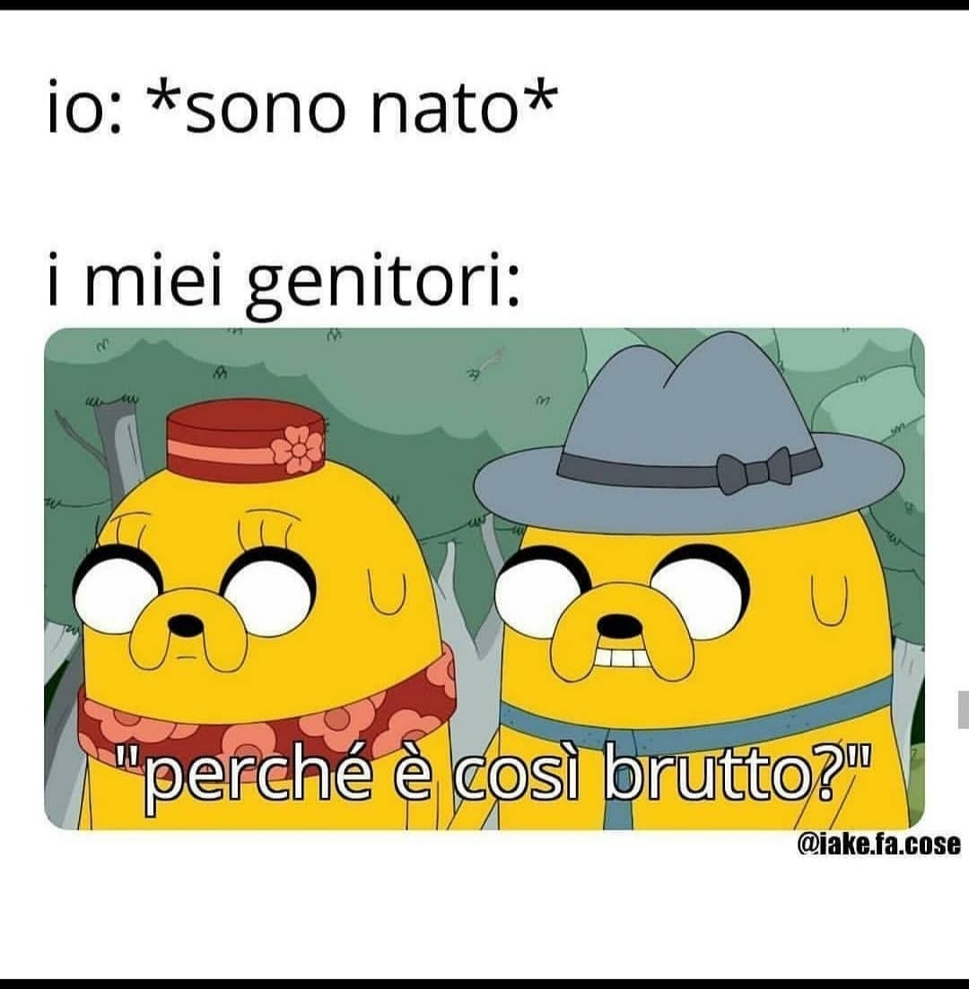 Ecco mi 