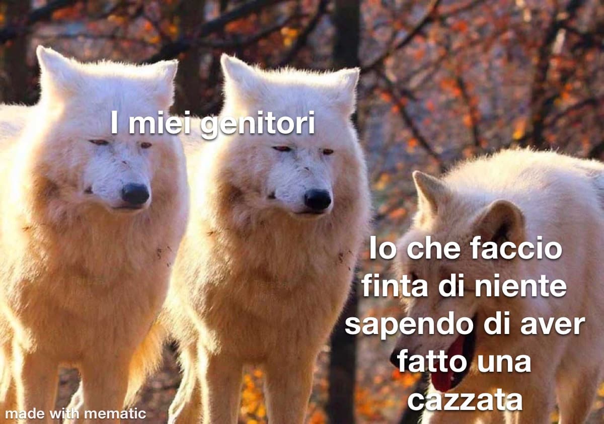 Tanto faccio solo cazzate quindi ormai tiro dritto al punto e sticazzi, poi vedono che me ne frego e si incazzano ancora di più lol 