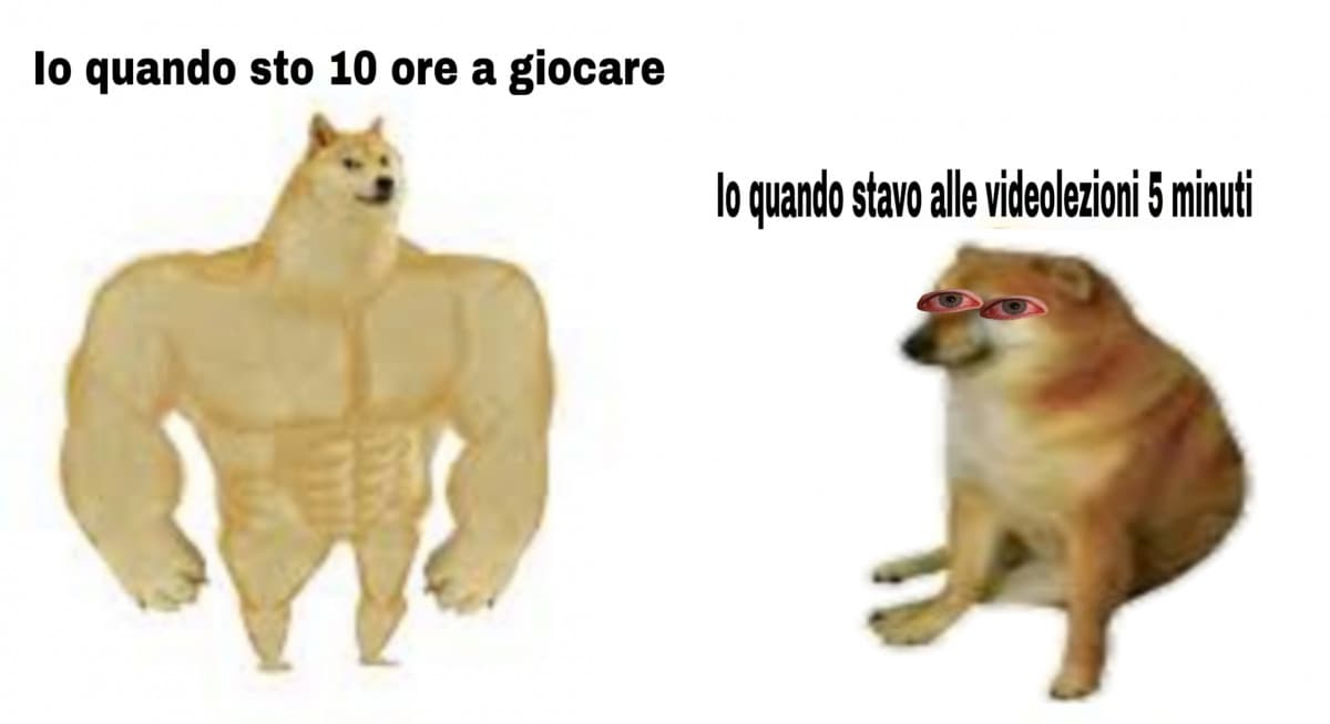 Le video lezioni