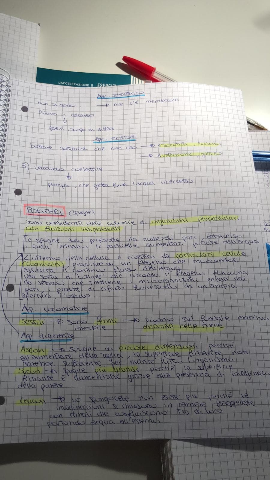 ok ho appena finito di ricopiare le 8 pagine di appunti di biologia

ora mi tocca studiarle damn