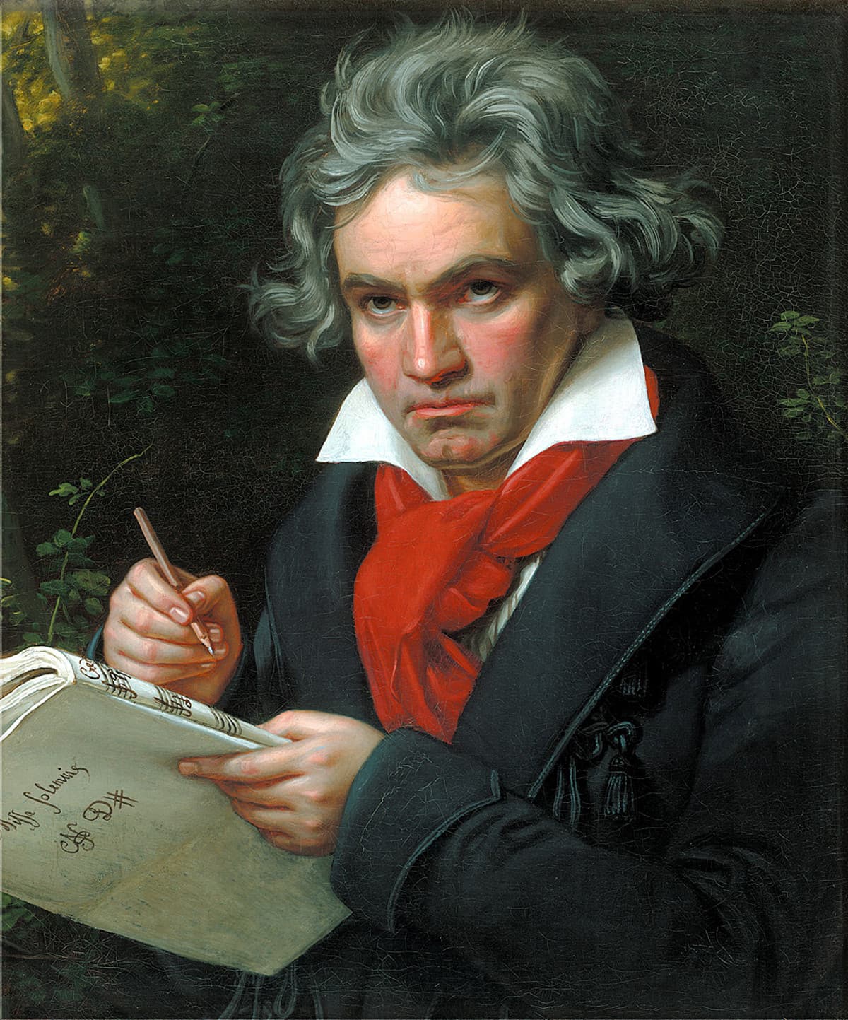 Beethoven è diventato sordo a 26 anni a causa di una malattia