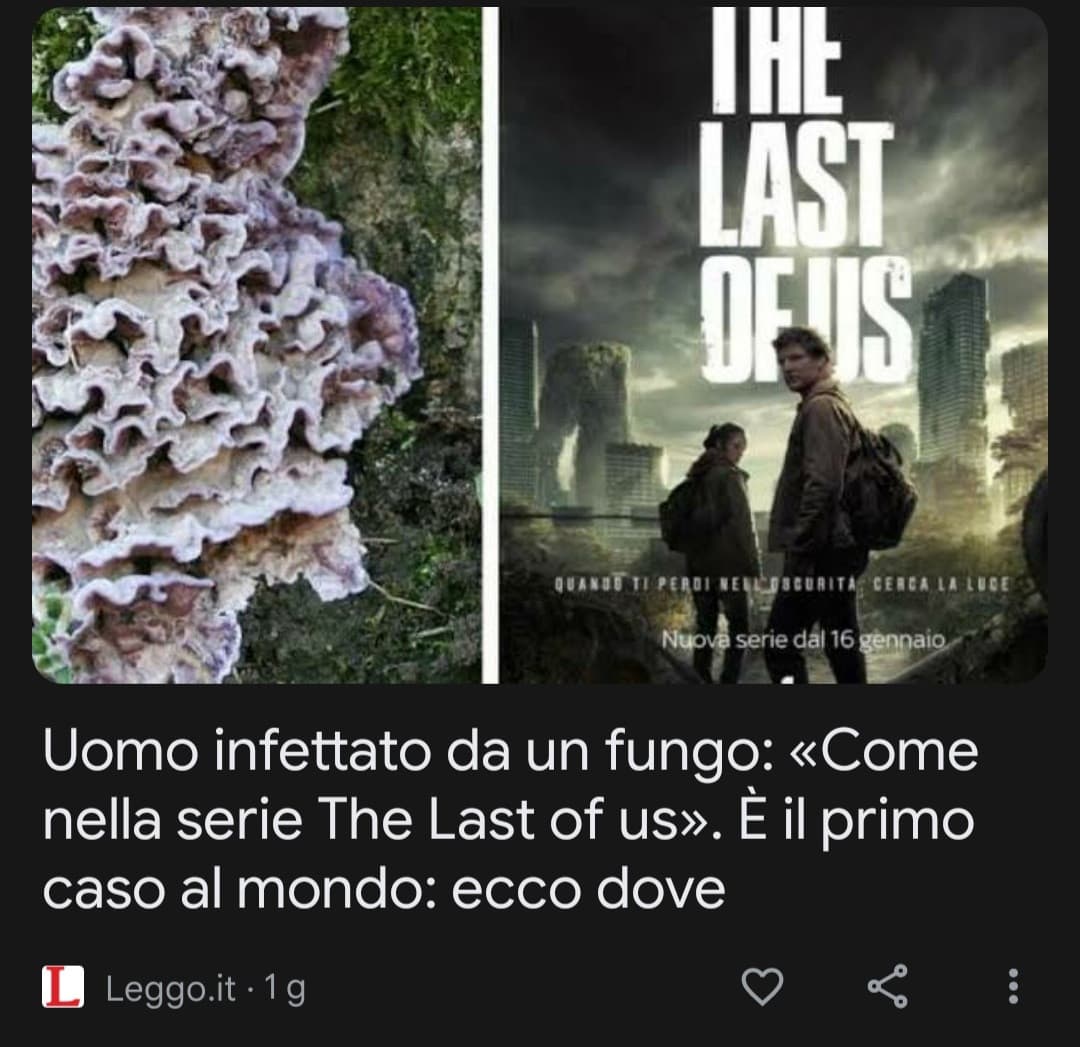 NON è Lercio💀