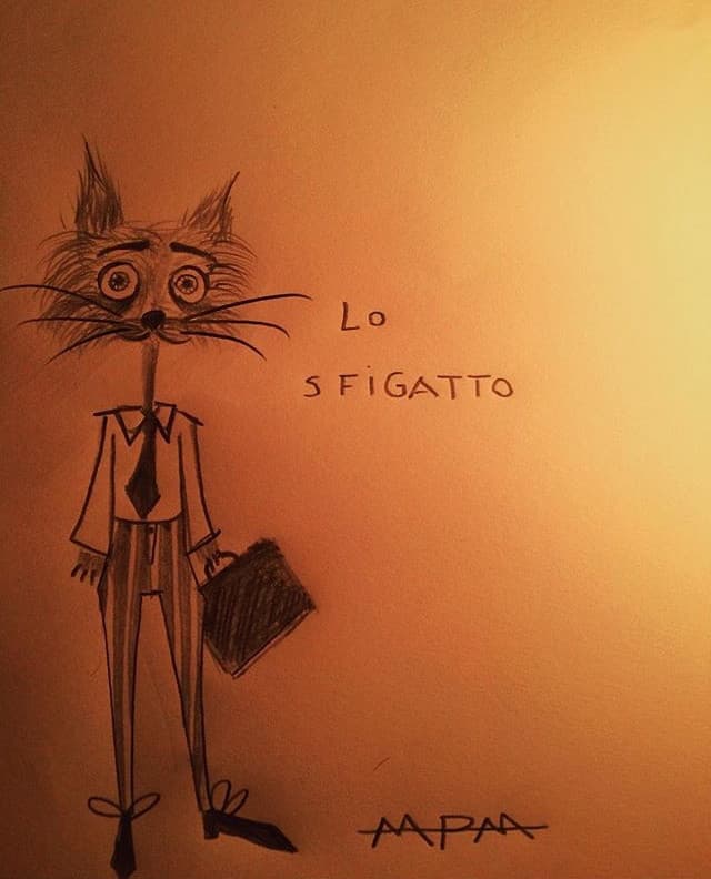 Sfigatto 