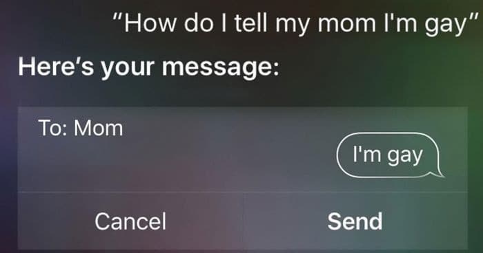 Siri's IQ: *stonks*