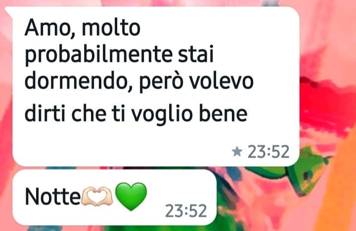 Mi sono svegliata un'ora fa e non avevo ancora aperto Whatsapp ma ora sono felice grazie arrivederci