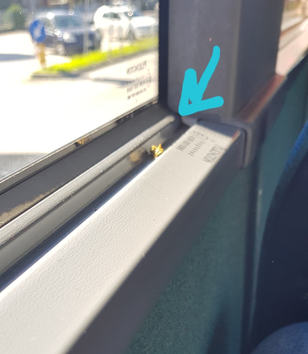 Oggi ho trovato questo cadavere in bus :(