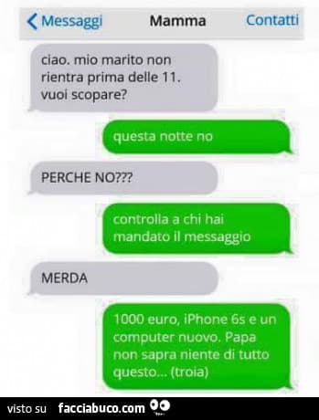 Mai vista chat più finta.... 