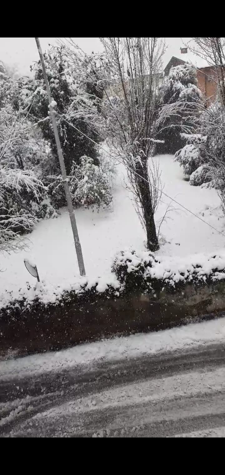 Rivoglio la neve