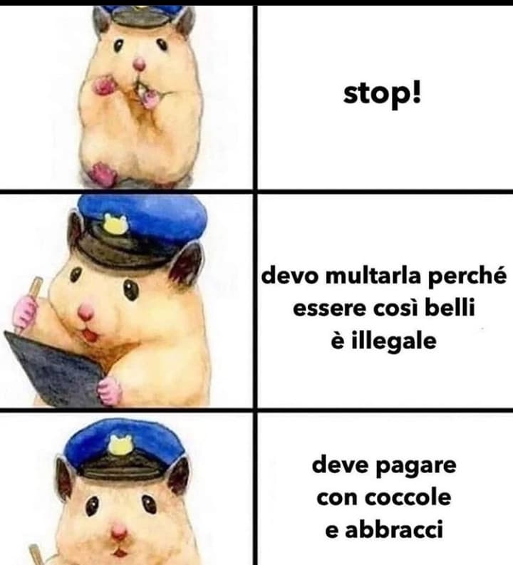 Ma vi immaginate se il poliziotto di insegreto fosse così dolce?! 