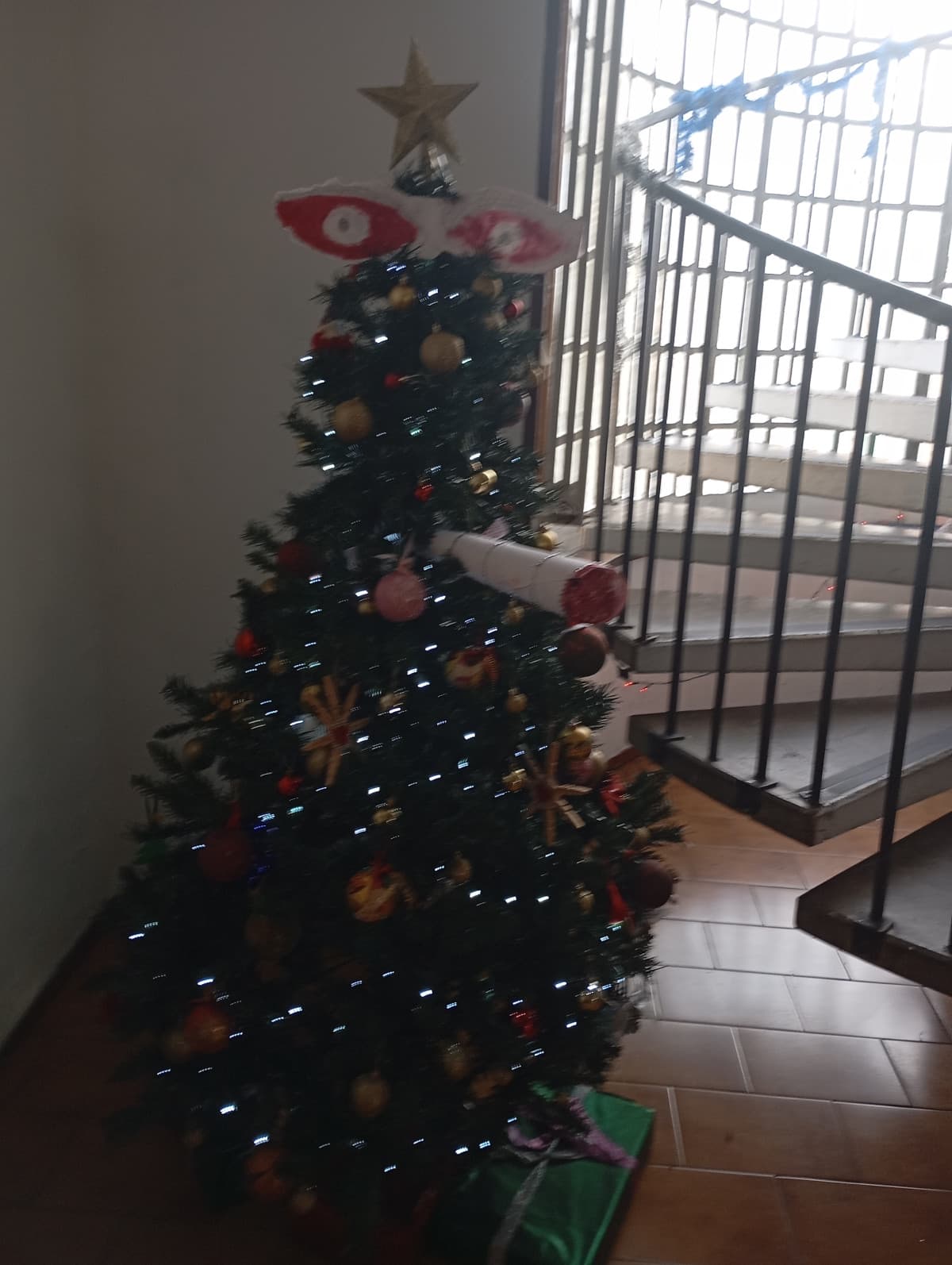 "un albero non può rappresentarti così tanto!!" l'albero: