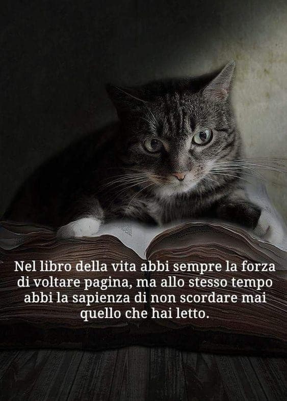 La pura verità!