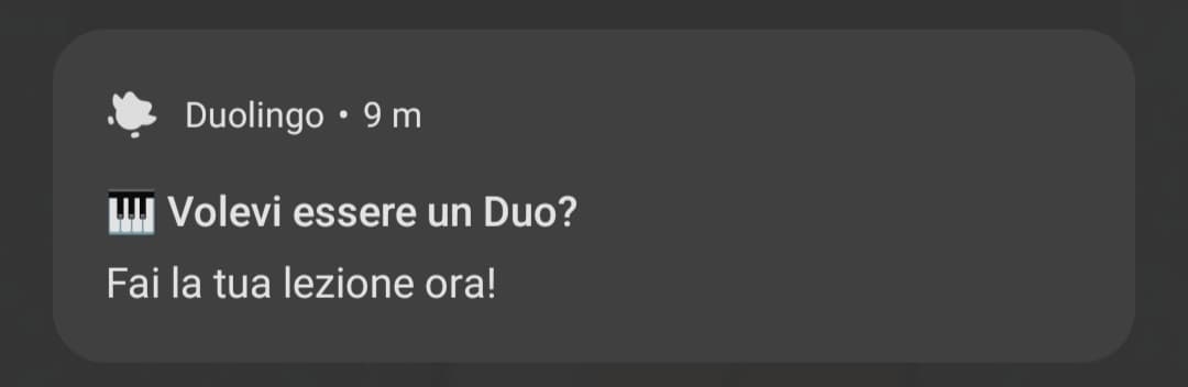 Duolingo voterebbe per Lucio Corsi 