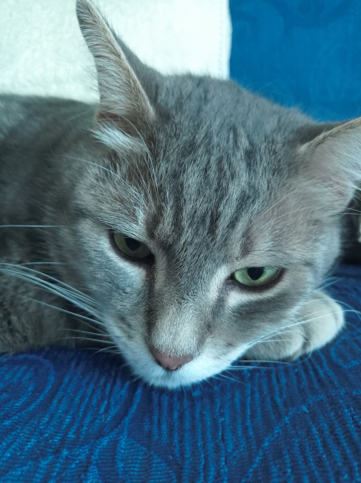 Mi rompo il cazzo