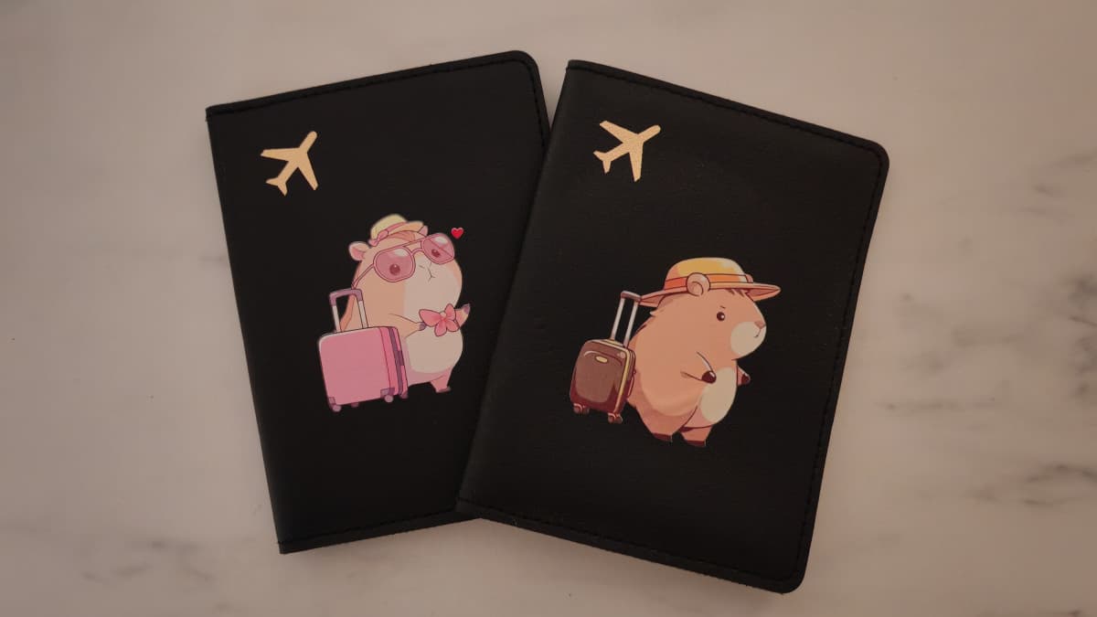 Io che compro i portapassaporti abbinati