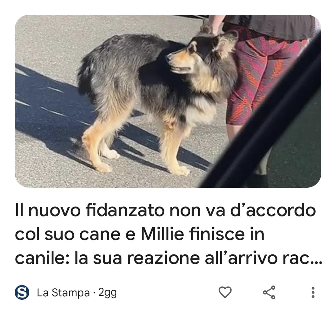 Un cane non ti tradisce, un fidanzato magari sì: fai un'opera buona, abbandona anche tu un fidanzato 