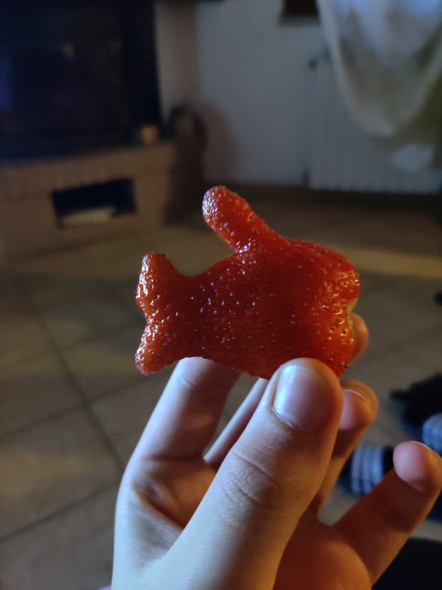 Una fragola a forma di pesce