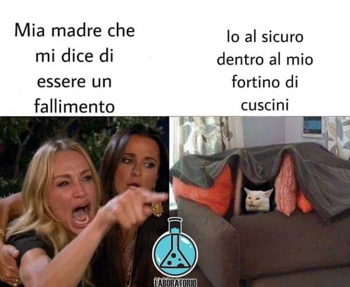 Non hanno bisogno di un titolo, amo questi meme