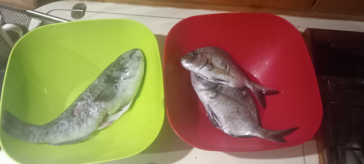 pescata