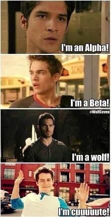 Stiles❤️❤️❤️