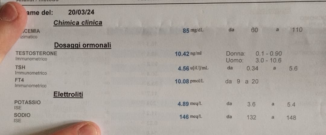 Pensi di potermi ferire? Ho il testosterone di 5 cavalli e ti mangio in 2 secondi, la prossima volta non ci riviene il bastardo😂