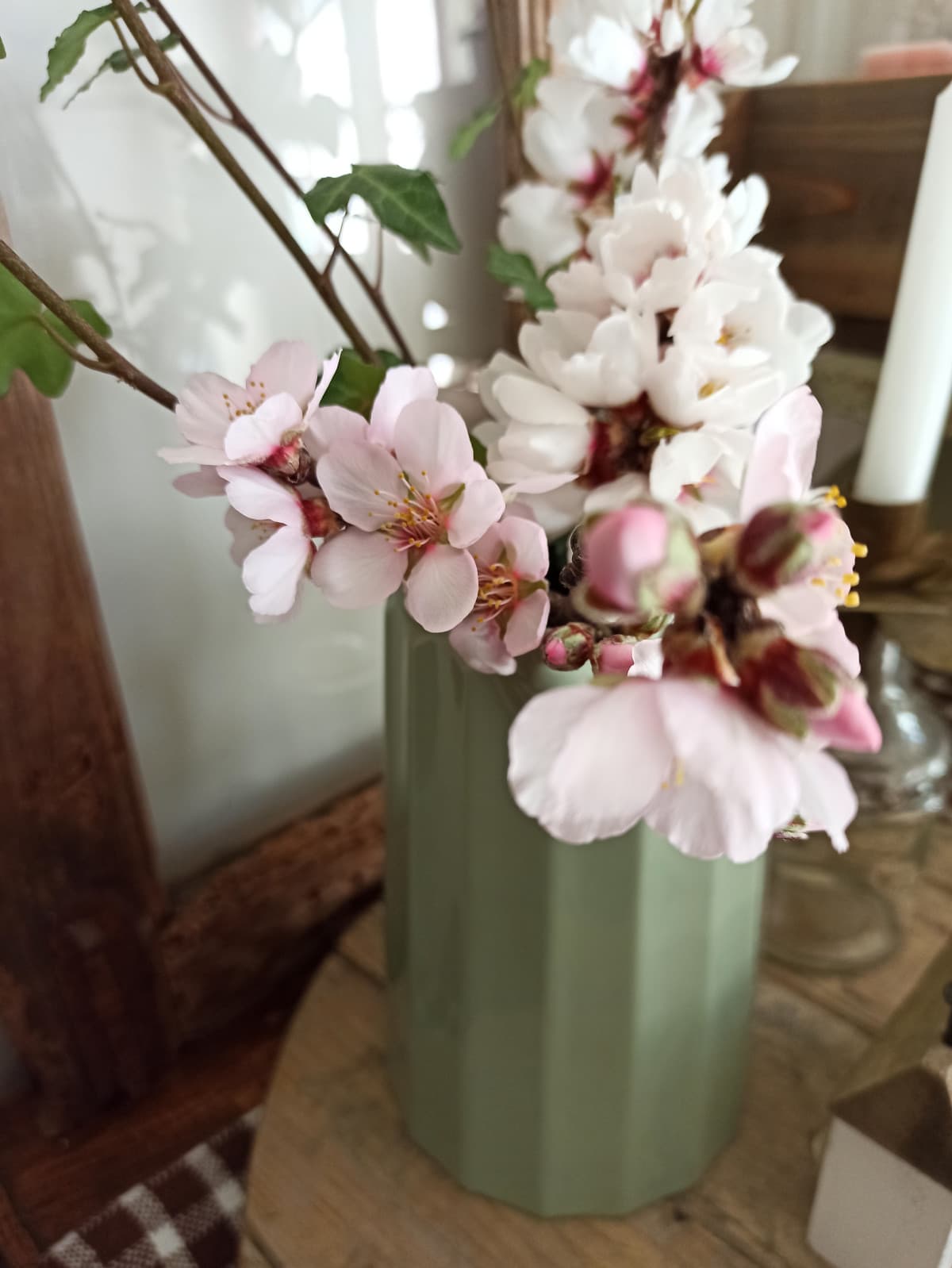 È da qualche giorno che mio padre, quando torna da lavoro, porta a mia madre un ramoscello di mandorlo in fiore da un albero vicino casa nostra 🥺