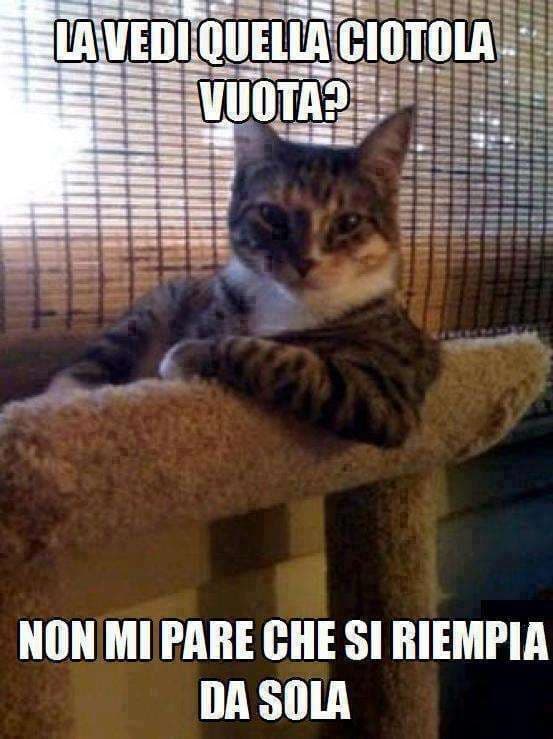 Ahahah?