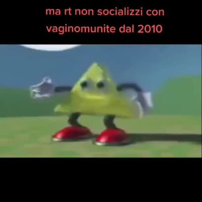 Il mio primo Tik Tok