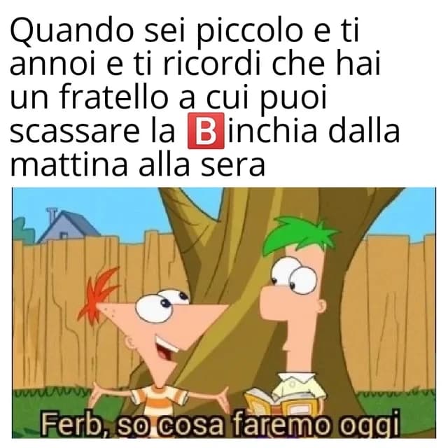 Amo quel cartone