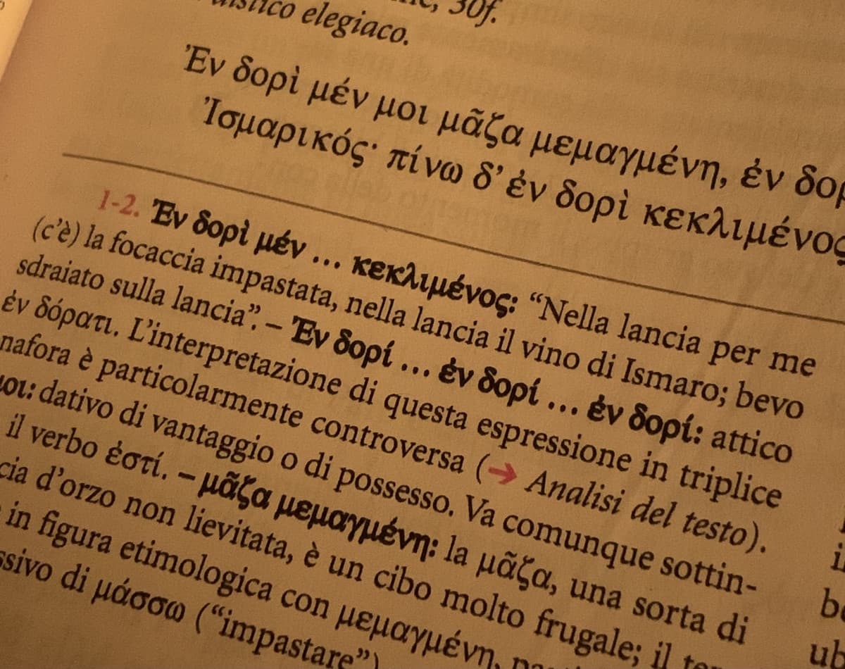 letteratura greca è quella materia in cui un giorno studi il valore etico-morale della civiltà della vergogna per i soldati greci e quello dopo che a sto qui piace la focaccia