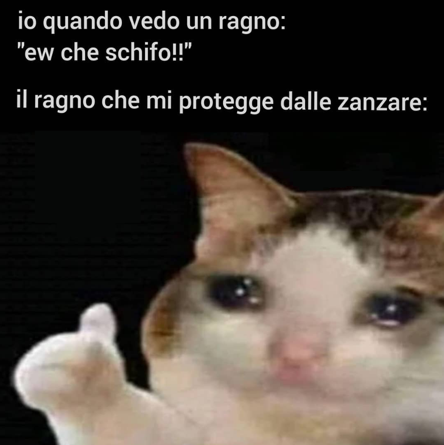 (●'◡'●)
