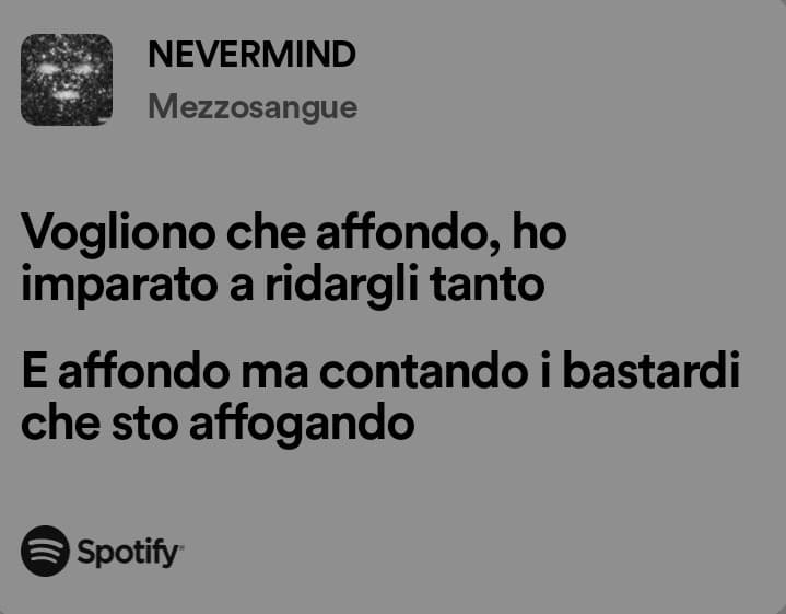 ho riavuto i miei amati testi su spotify, ora posso morire felice