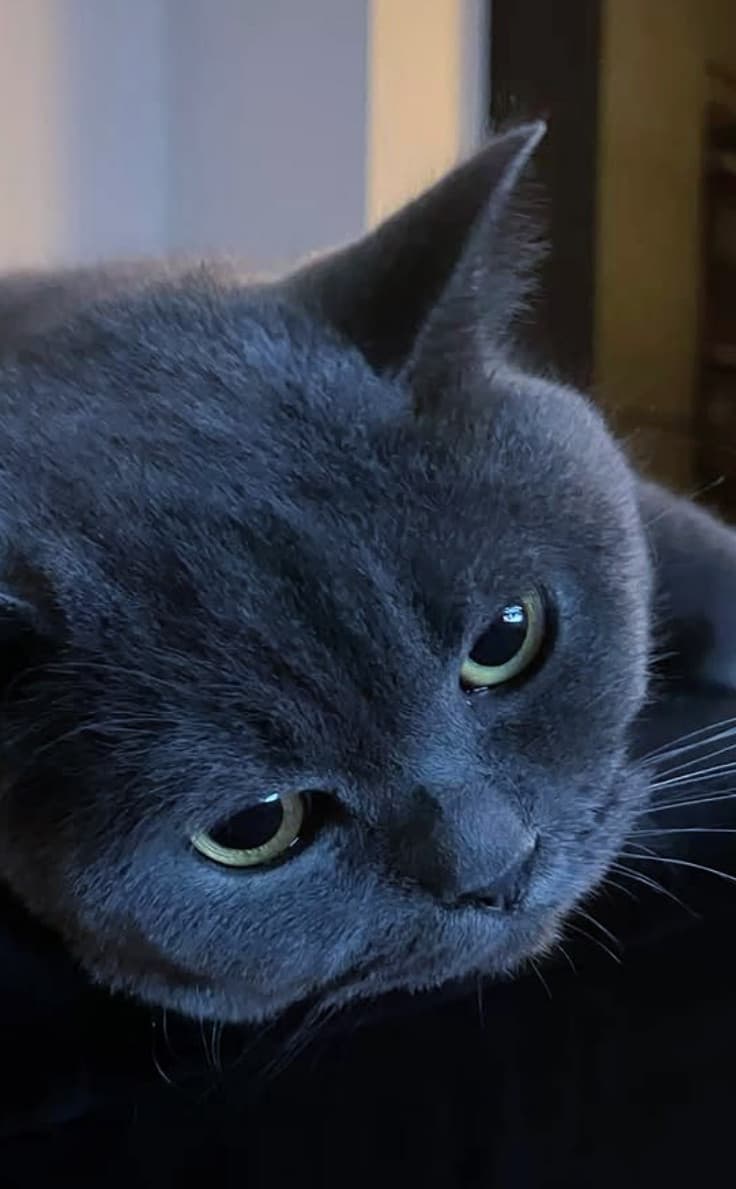 "ma la smetti di farmi la foto? Stronza" 🤭