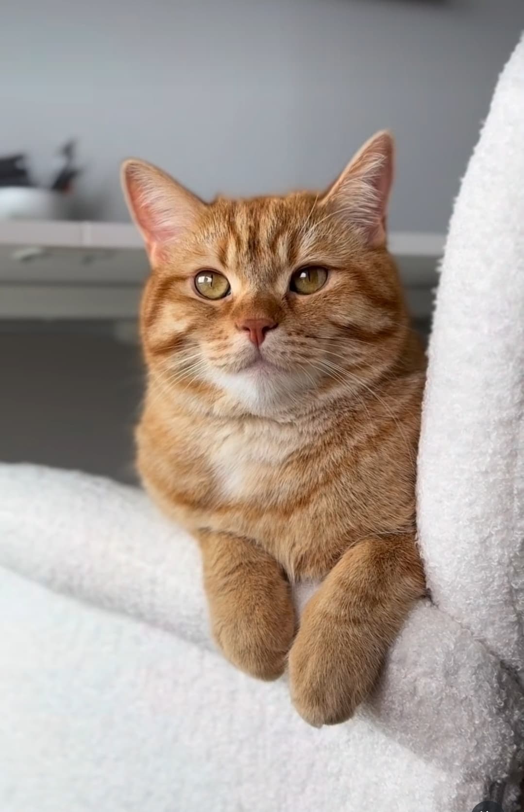 Patato mio ❤️